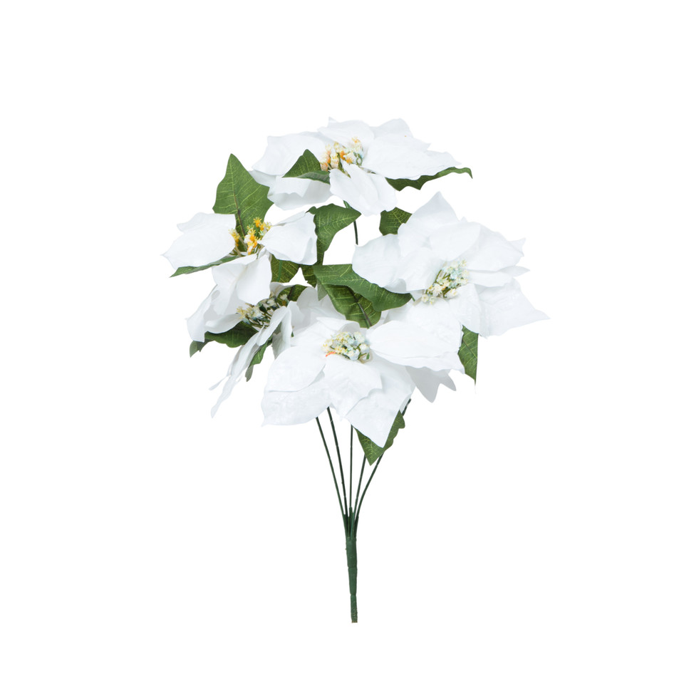 Poinsettia x 5, White U336X-00