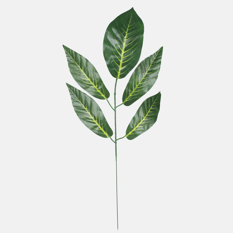 Mango, Dk. Green F161F-01
