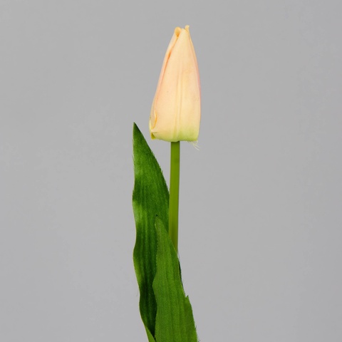 Tulipan – gałązka (12 szt.), lt yellow/lt.pink J38-09