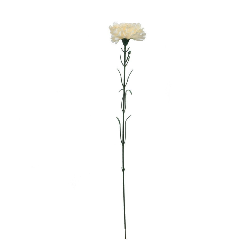 Goździk - gałązka 54 cm, m2 GK148-m2