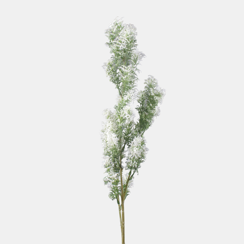 Cypress, Green/White A704-03