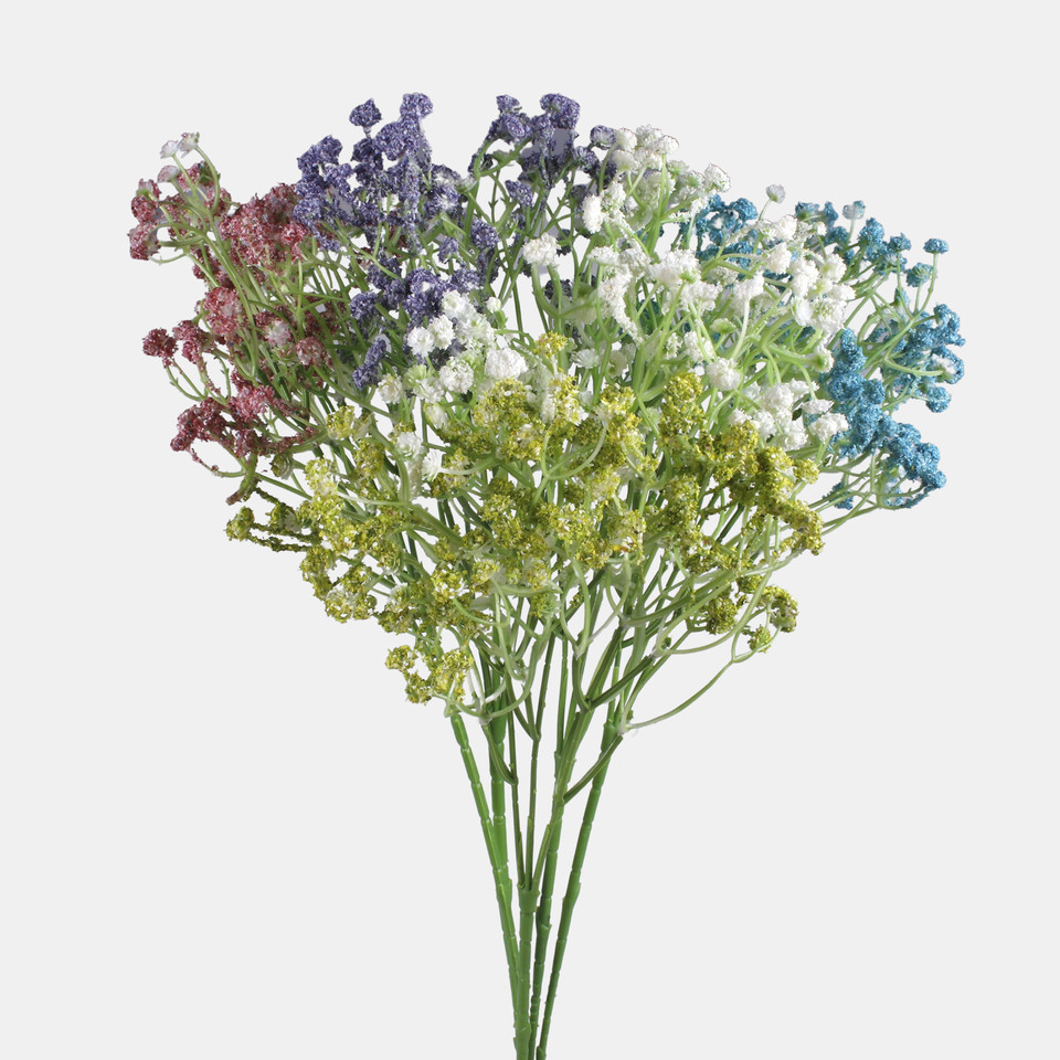 Gypsophila, White L856-05