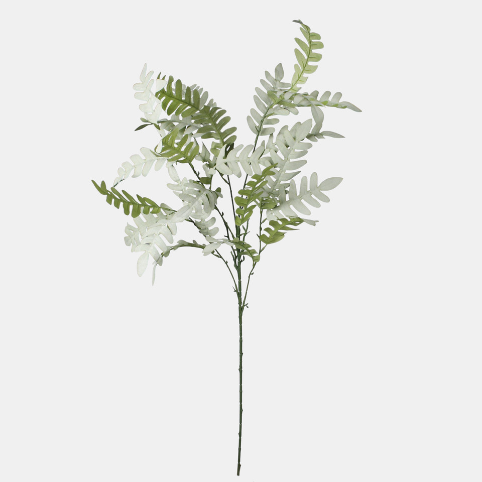 Fern, Green F137-01