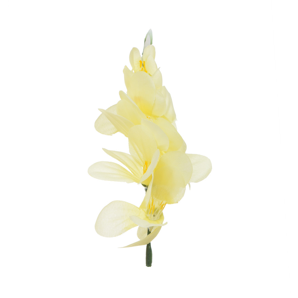 Frezja - główka 7,5 cm, cream W370-2