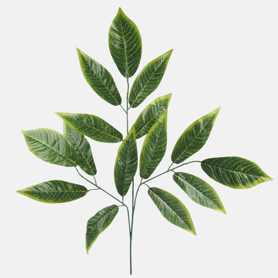 Nut, Green/Lt. Green Edge F239-01
