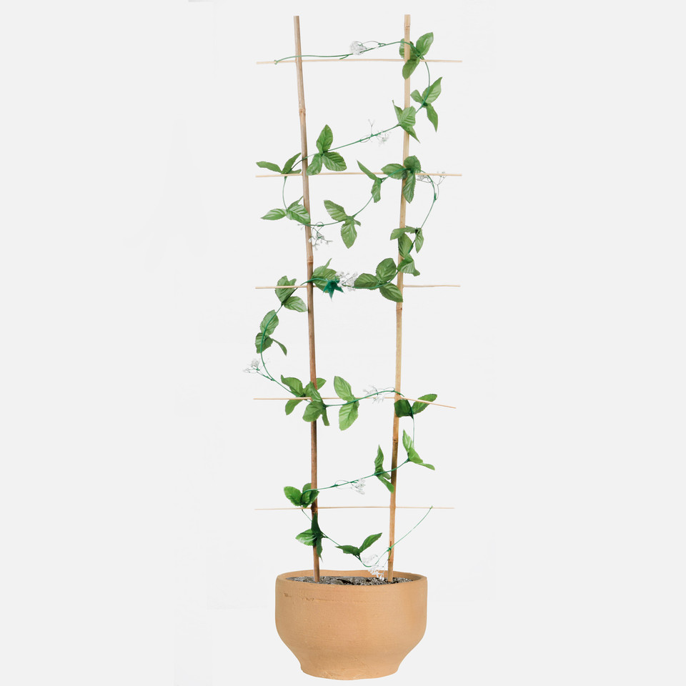 Girlanda, Green B011