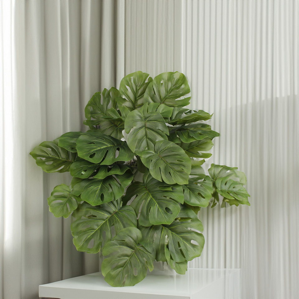 Monstera Thai, Green B134-01