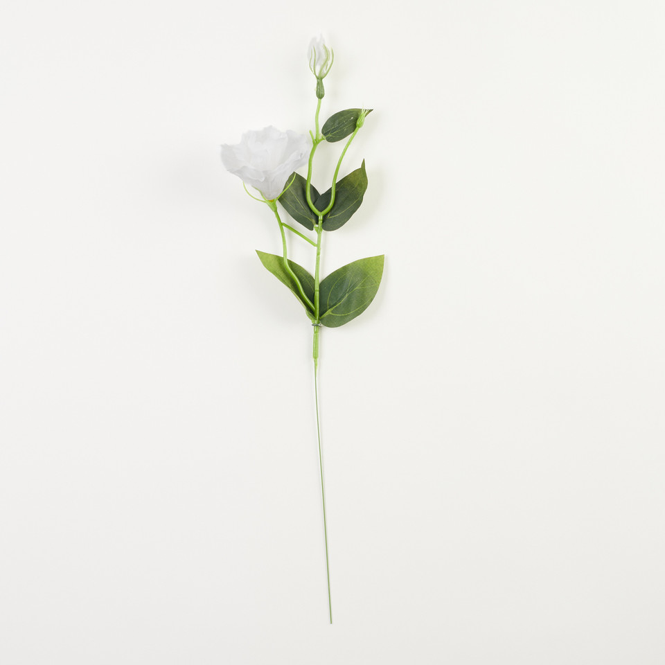 Eustoma – gałązka, white B179-06