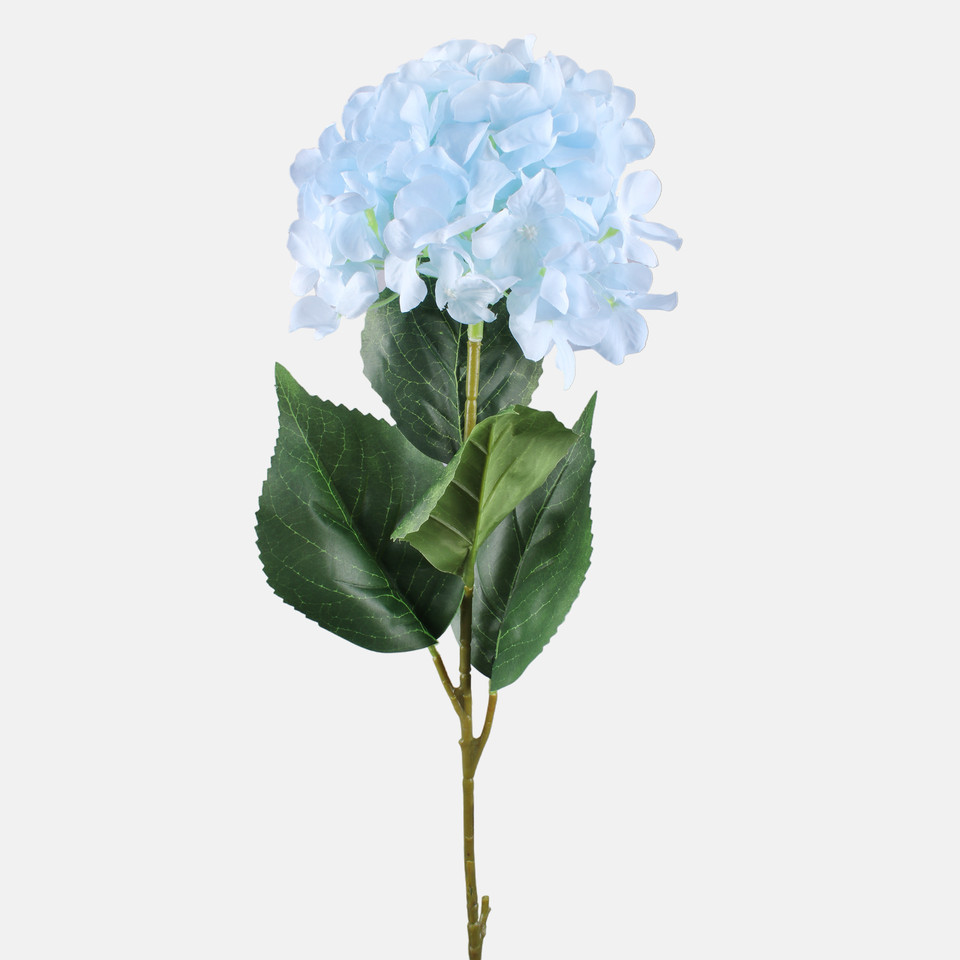 Hydrangea, Lt. Blue L877-03