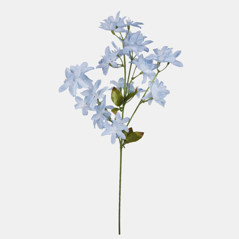 Orchid, Lt. Blue L769-06