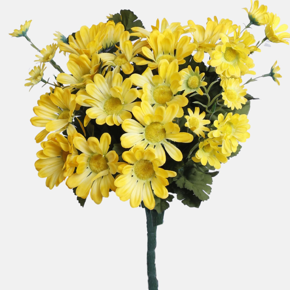 Margaretka, Mix BU405-01