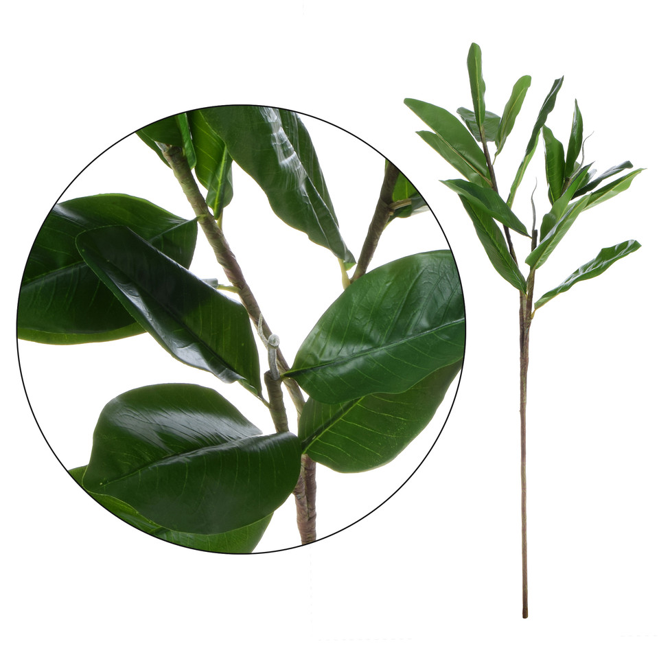 Magnolia - gałązka 85 cm, green R387-00