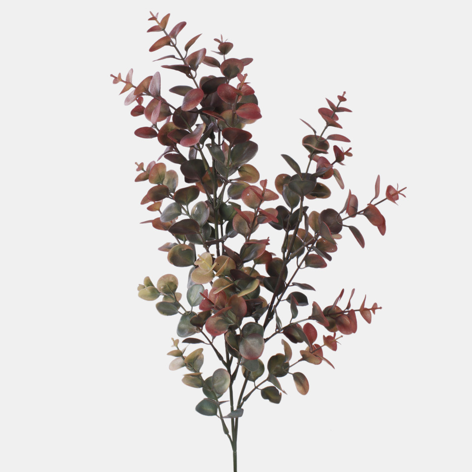 Eukaliptus, Dk. Green/Burgundy F249-06