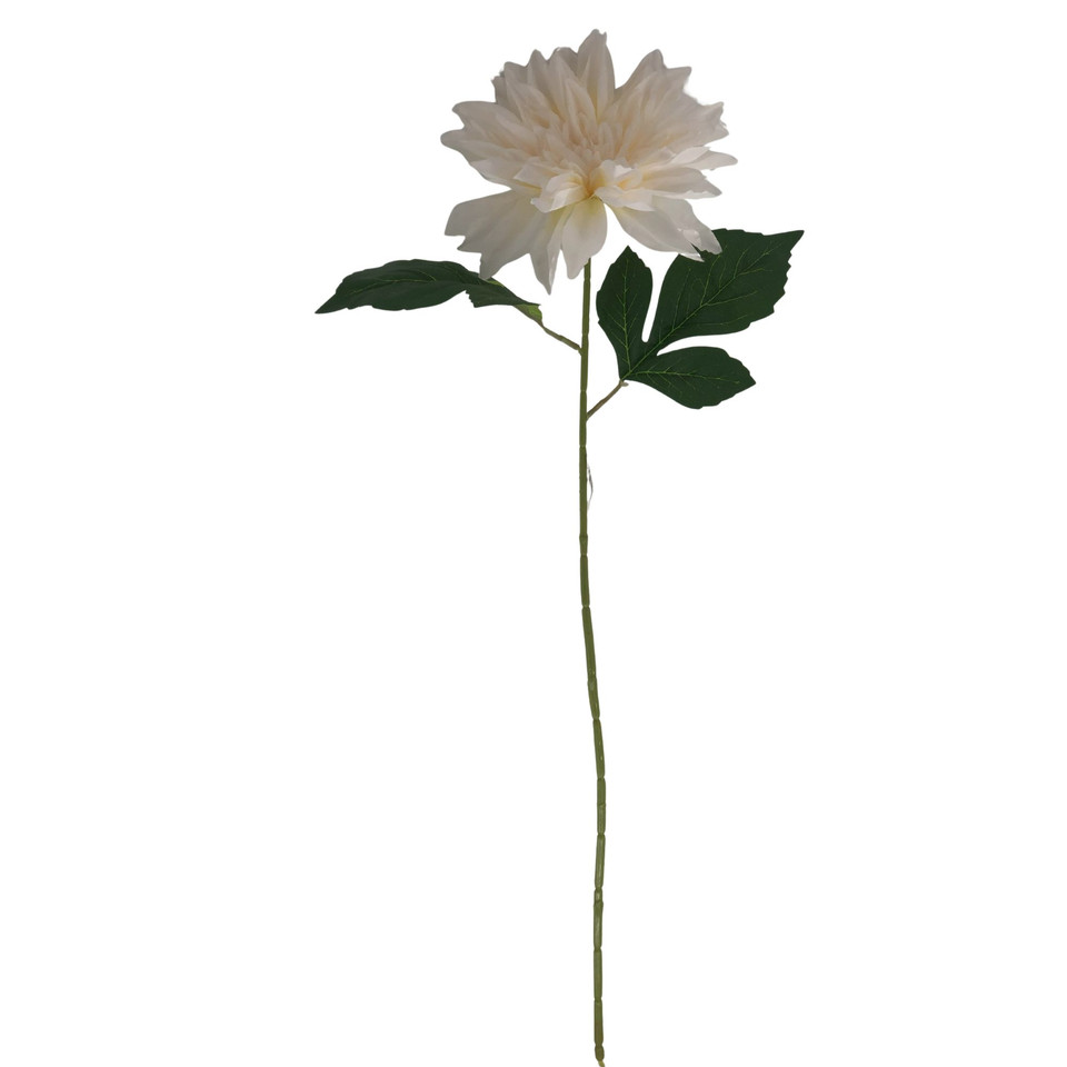 Dalia, Peach K657-03