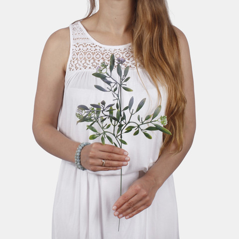 Mistletoe A784 (Product size)