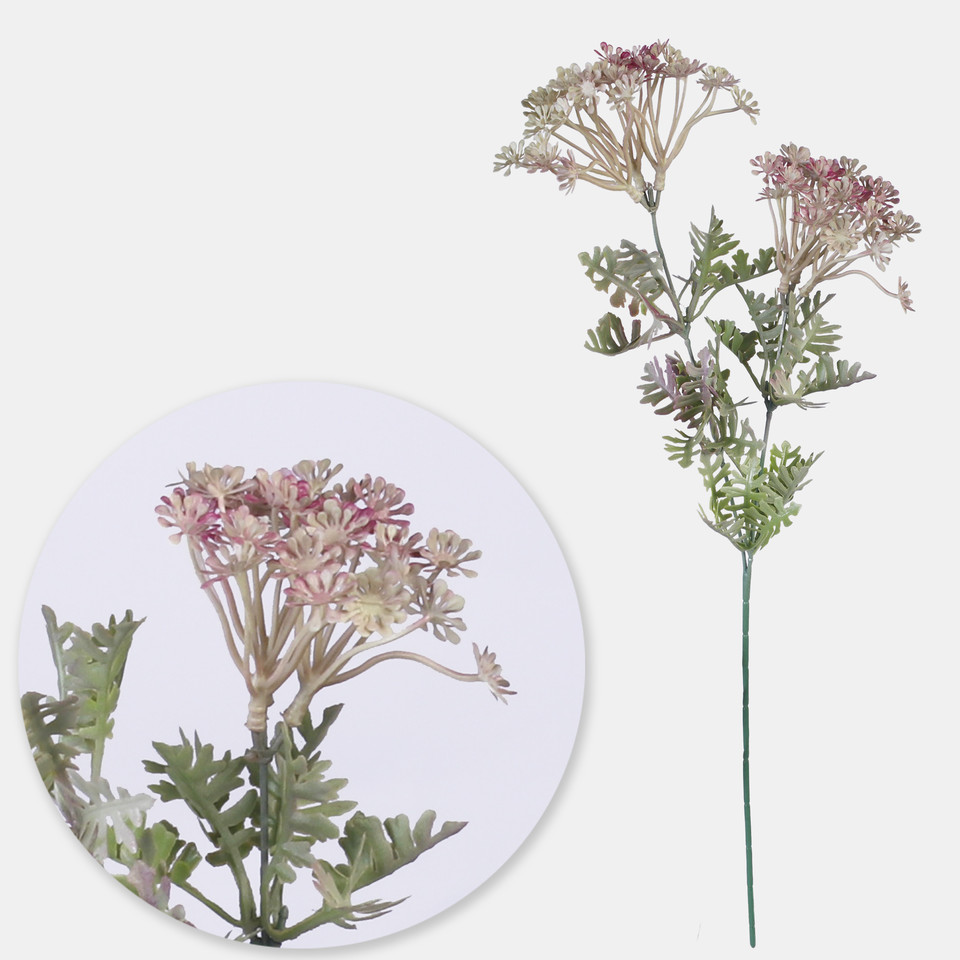 Dill, Lt. Green/Burgundy G444-01