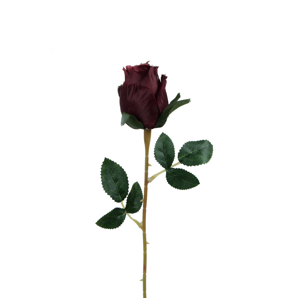 Róża - gałązka - 53 cm, m2 K404-m2
