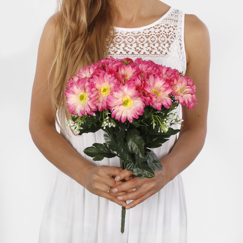 Gerbera x 24 QA078 (Product size)