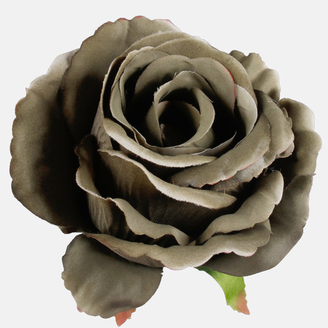 Rose, Autumn Green W697-11