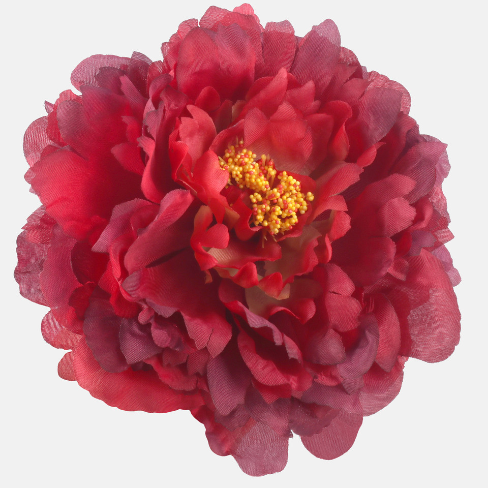 Peonia, Red W615-10