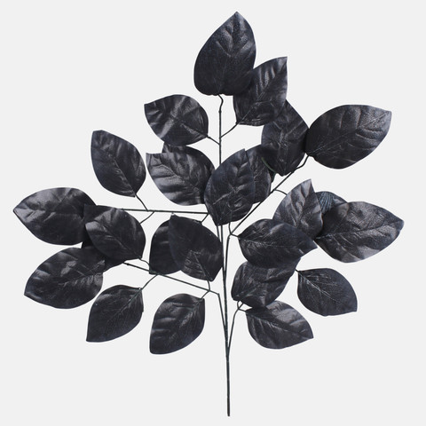 Beech, Black F186-01