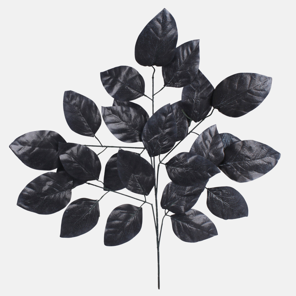 Beech, Black F186-01