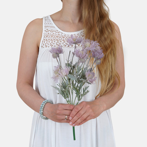 Thistle QA301 (Product size)