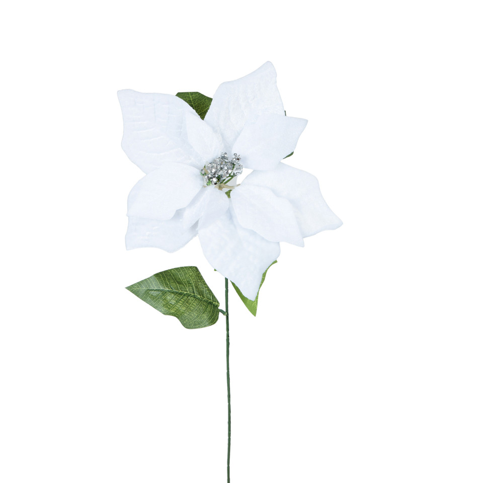 Poinsecja welurowa, White K312X-02