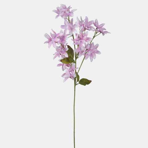 Orchid, White/Pink/Lilac centre L769-04