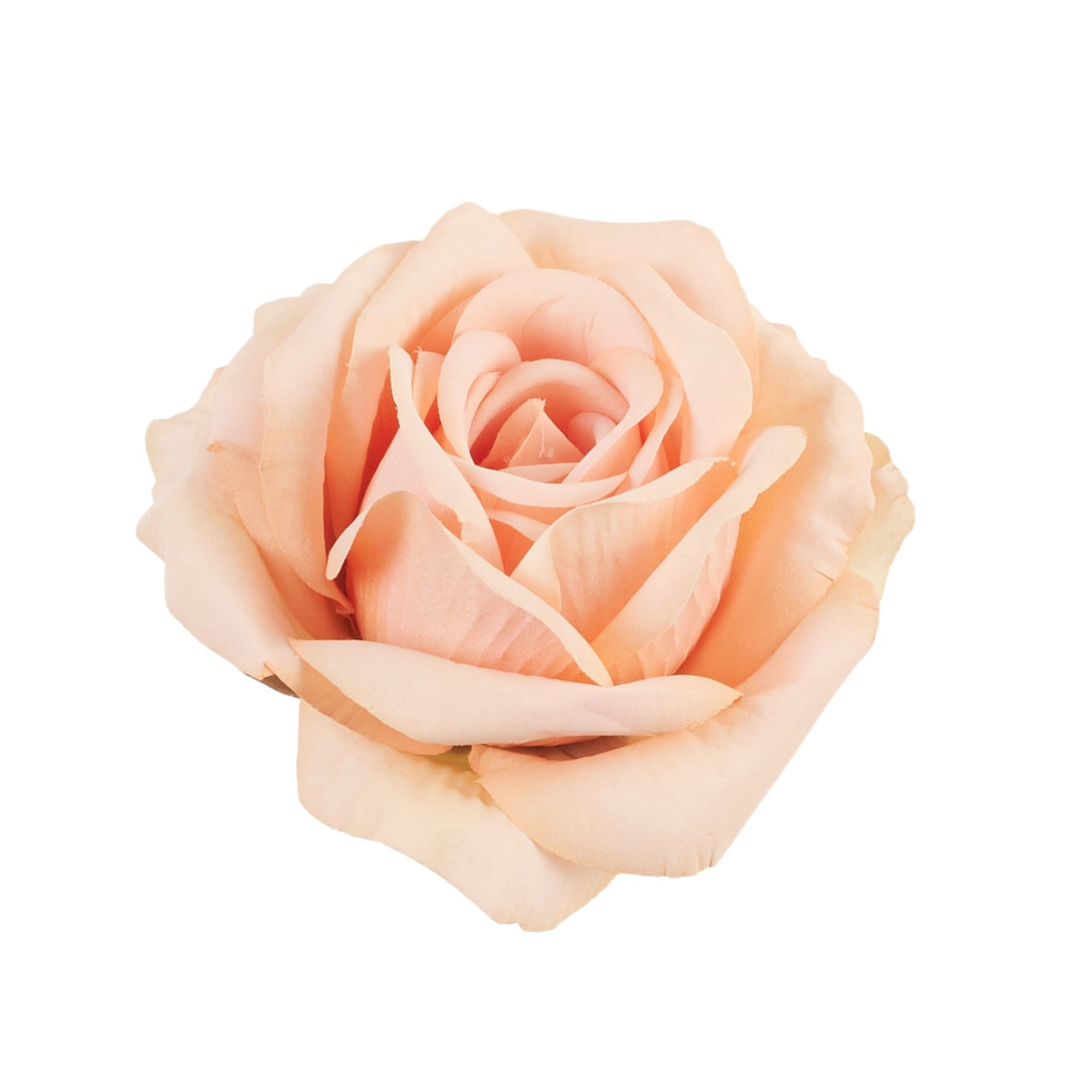 Rose, #05 salmon B70-05