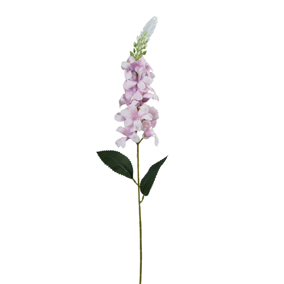 Delfinium Ostróżka – gałązka 75 cm, m2 K649-m2