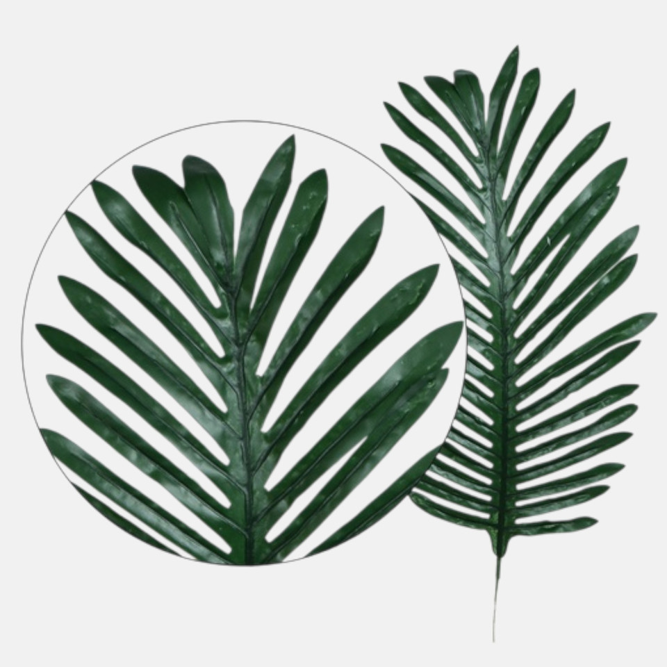 Liść palmy gumowany, Dk. Green L406E-00