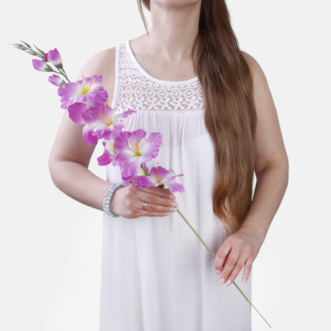 Satin gladiolus L190A (Product size)