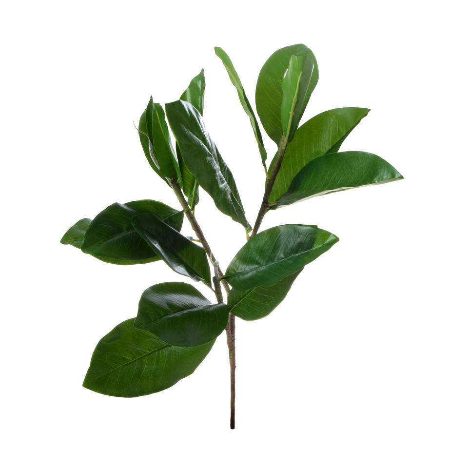 Magnolia - gałązka 85 cm, green R387-00