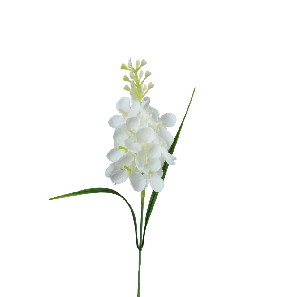 Hiacynt - pik 36 cm, m DK077E-m