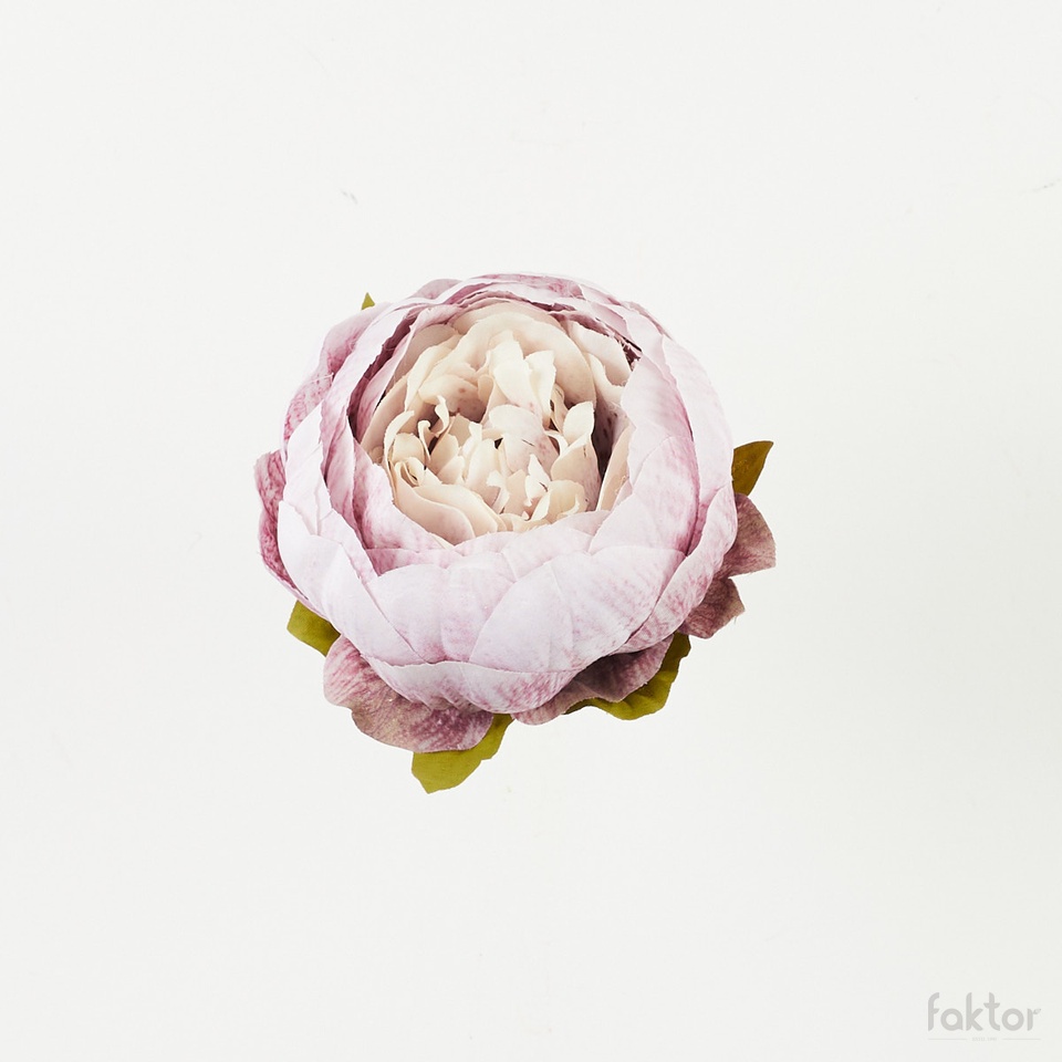 Peonia – główka, 15 B39-15
