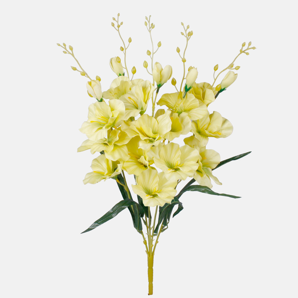 Gladiolus x 5, Mix 1 QA053-01