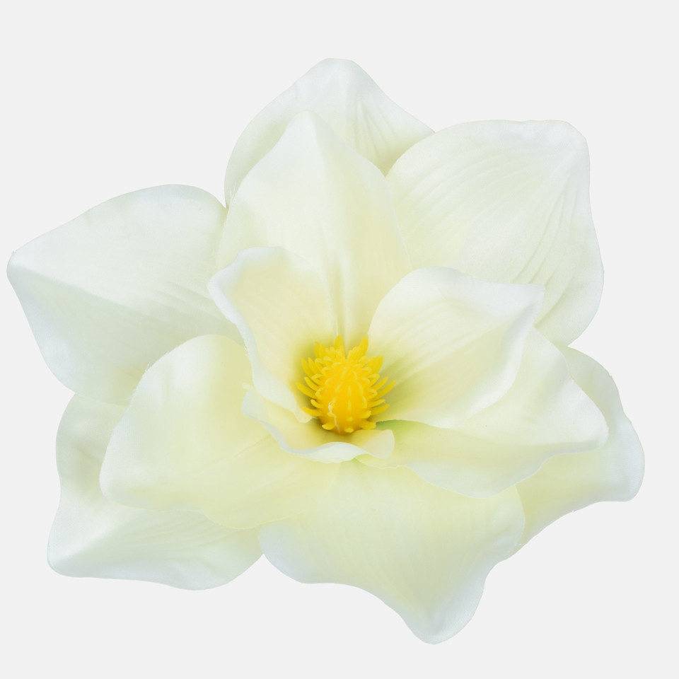 Magnolia, Cream/Lt. Green Edge W707-05