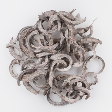 Coco Strip 500 g Y078W