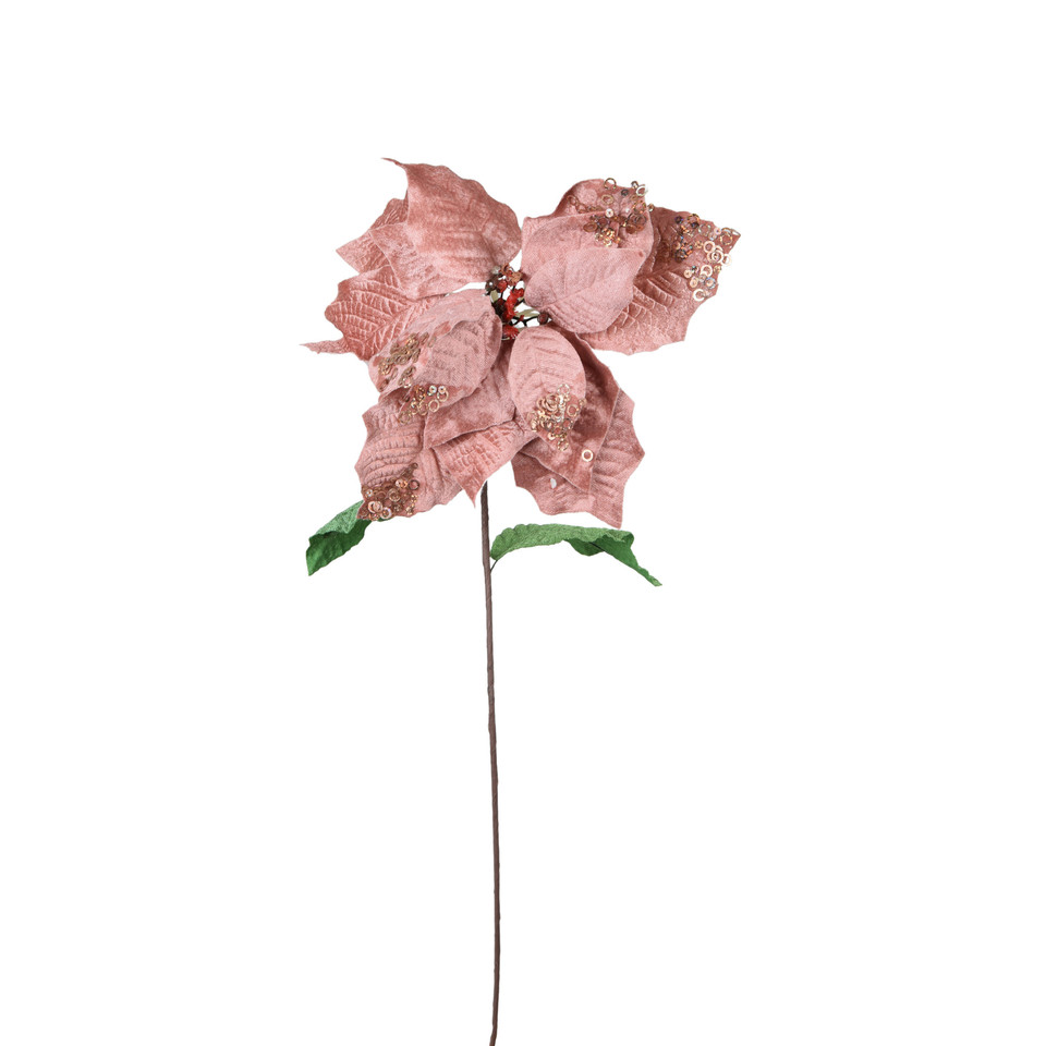 Poinsecja, Pink X395-00