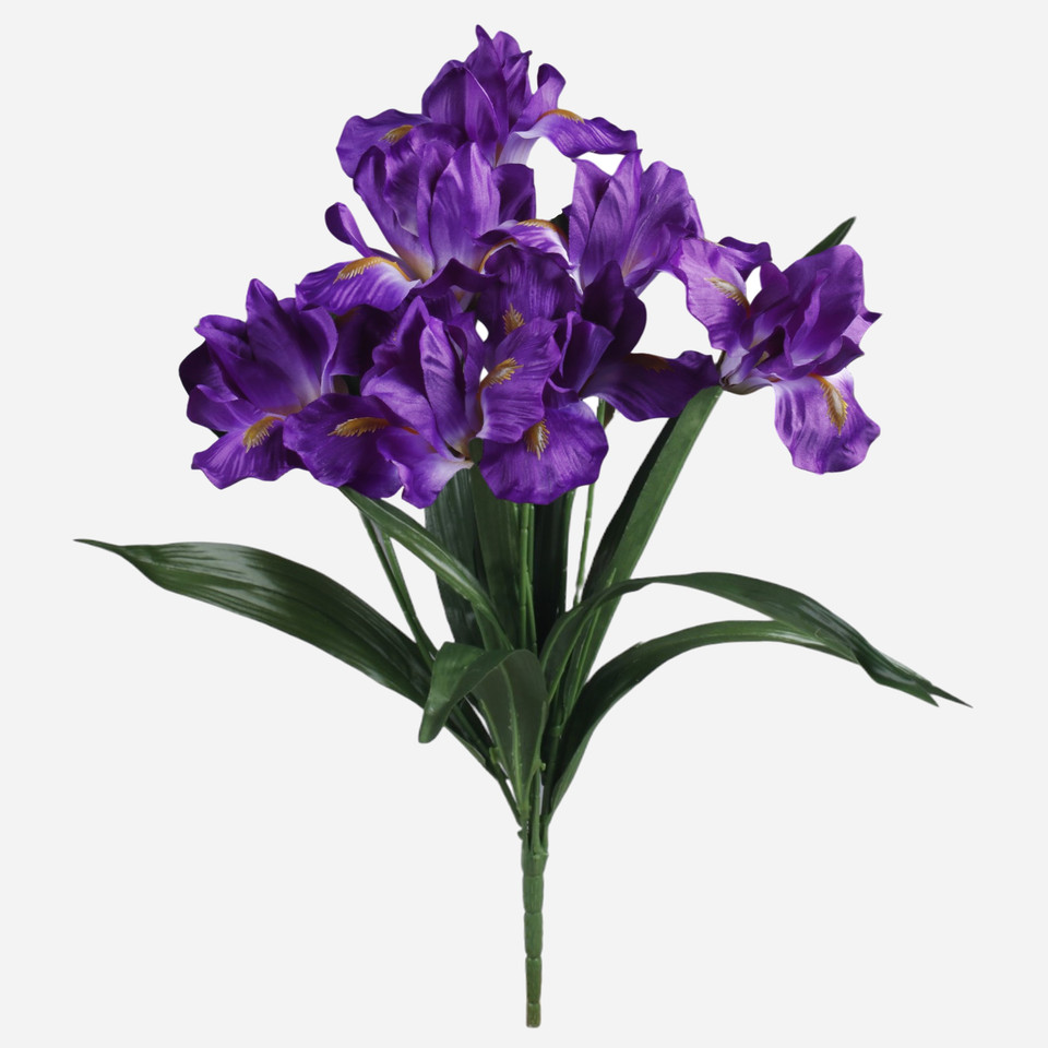 Irys x 7, Violet QA413-01