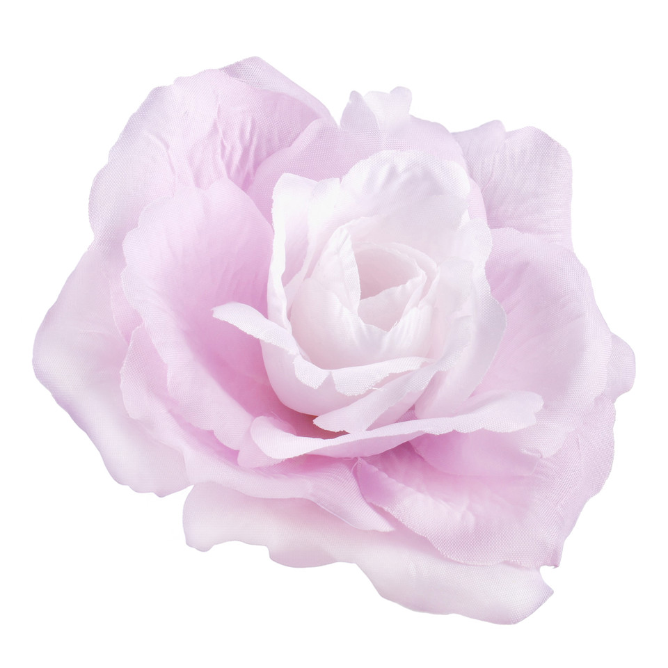 Róża francuska, Lt. Lilac/Violet Edge W087-06