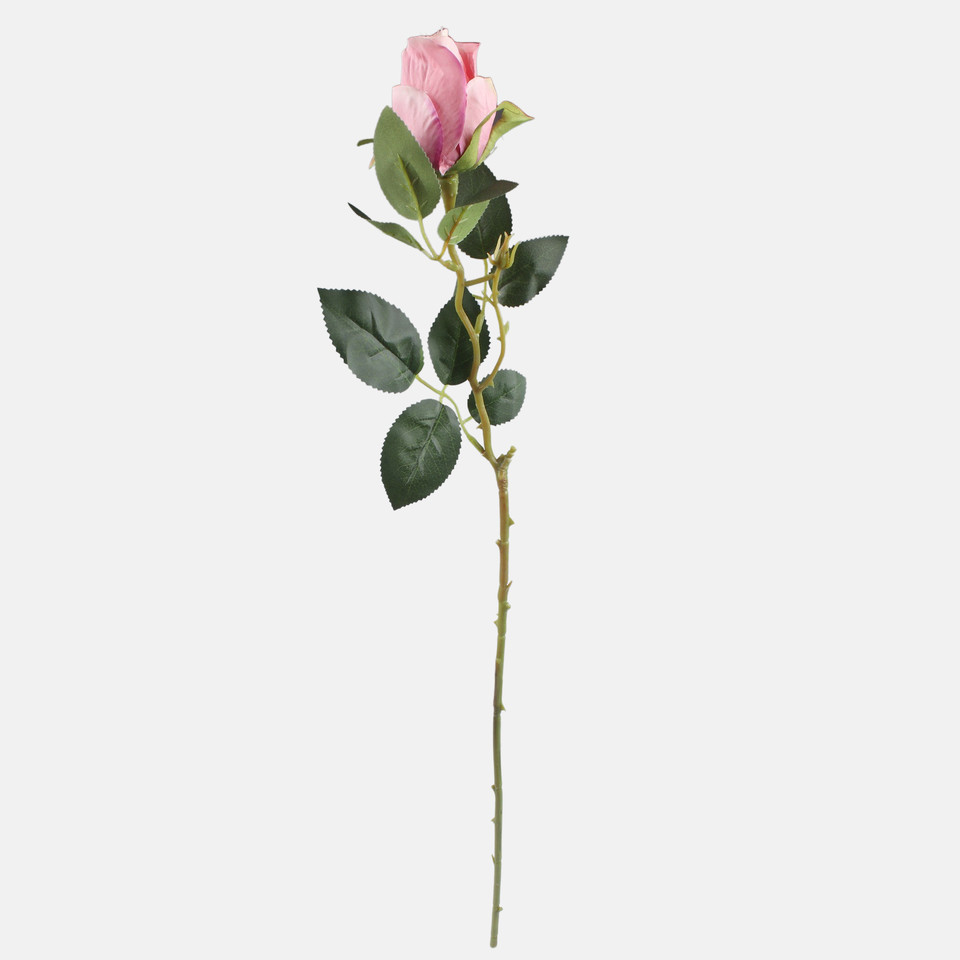 Róża w pąku, Pink L892-04