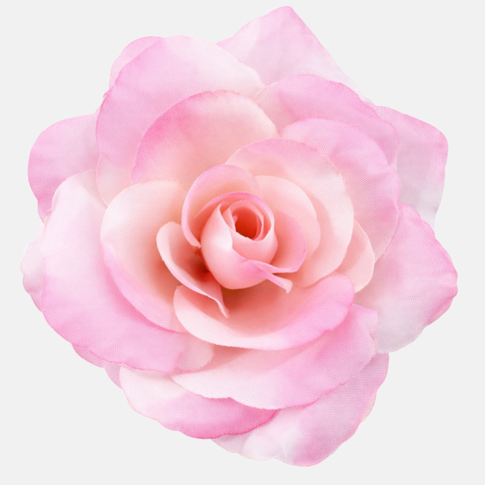 Róża, Lt. Pink W751-10