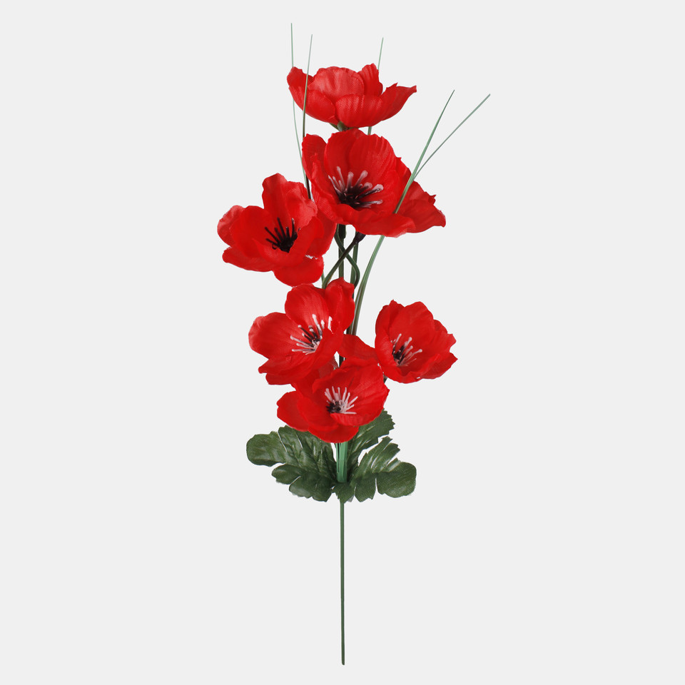 Poppy, Red G346-01