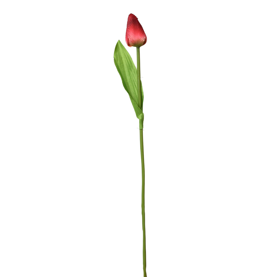 Tulipan - gałązka 44 cm, m K375-m