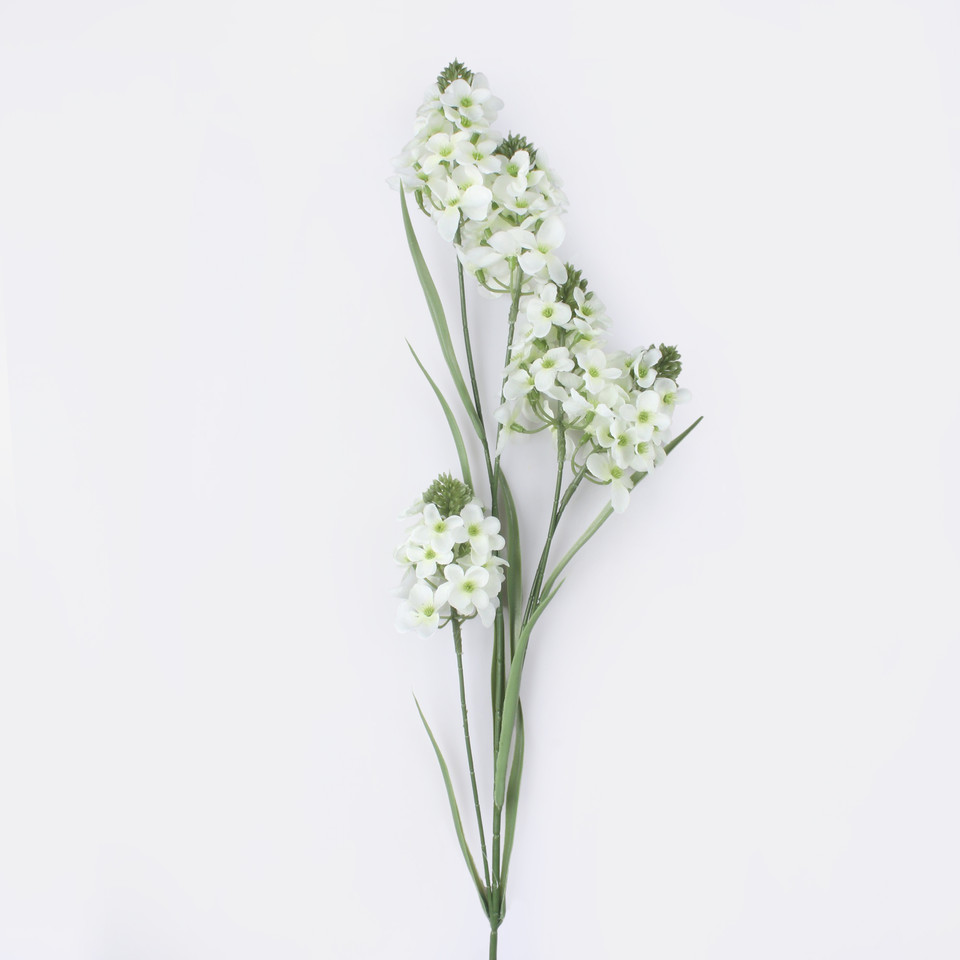 Tuberose, Cream L873-01