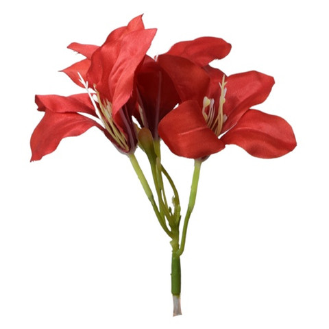 Amarylis, Red W168-06