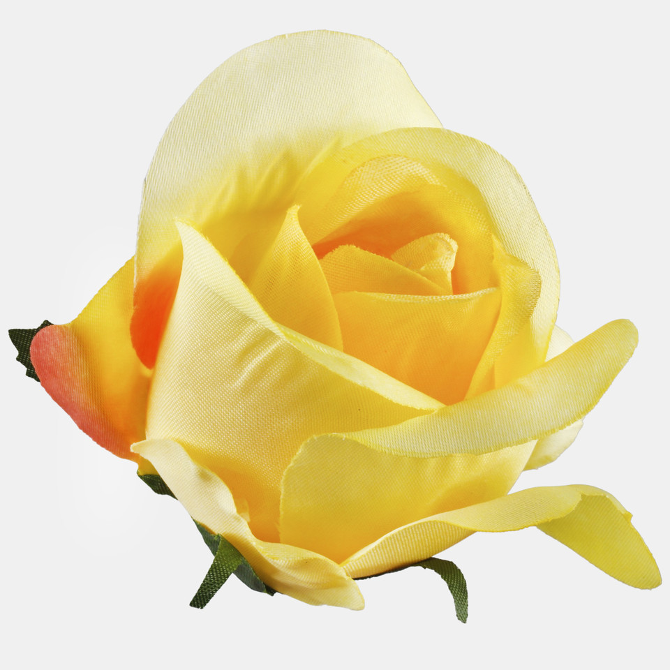 Róża w pąku, T.T. Yellow W733-04