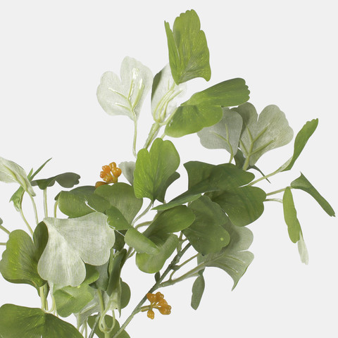 Ginkgo, Green F115-03